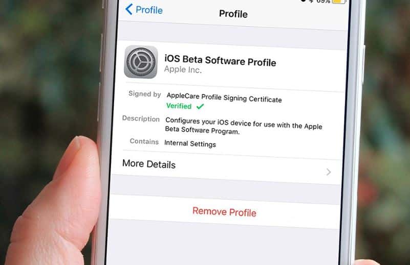 Remove the iOS 13 beta profile