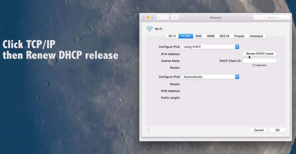 Renew DHCP Lease mac