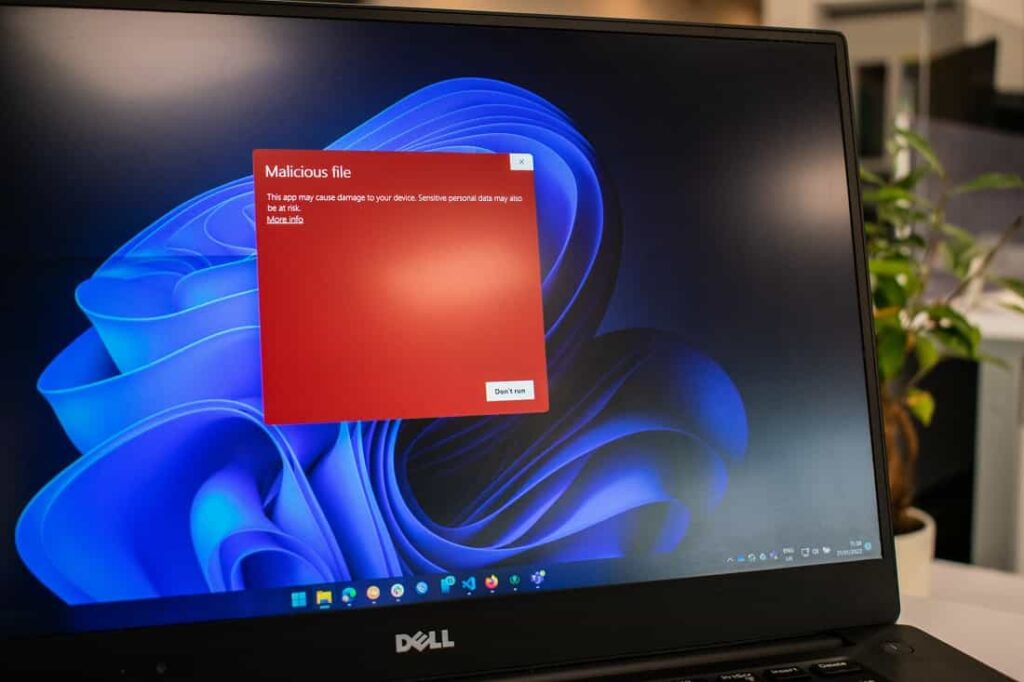 Windows Antivirus software