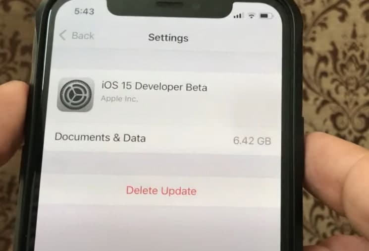 Delete iOS update
