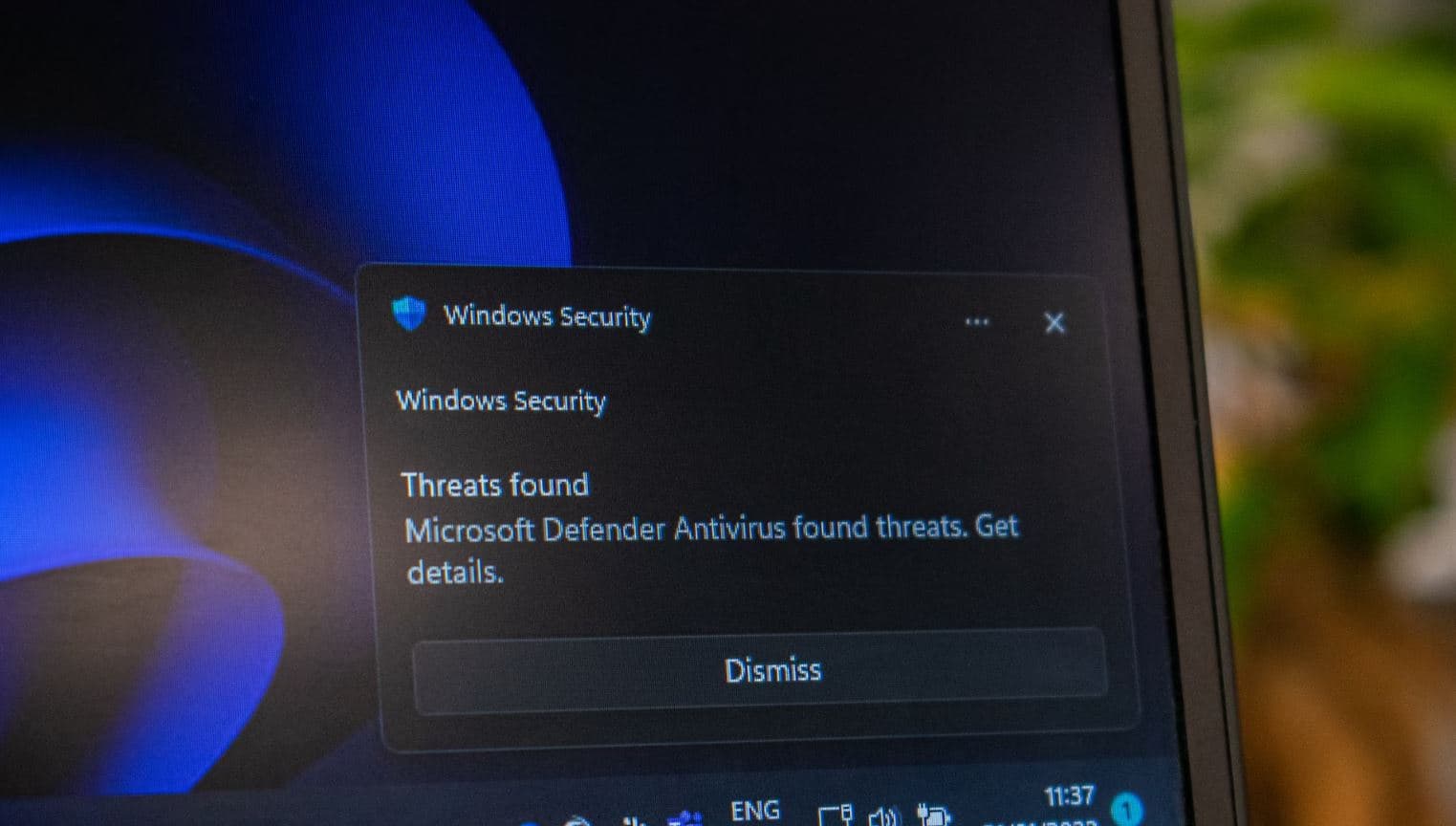 Antivirus Software for Windows