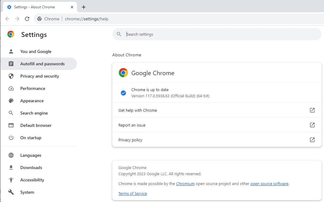 Google chrome update